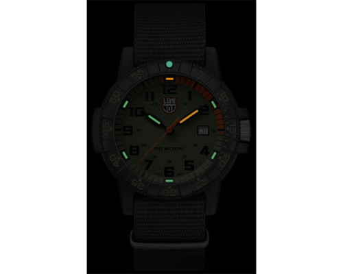 Часы Luminox XS.0337